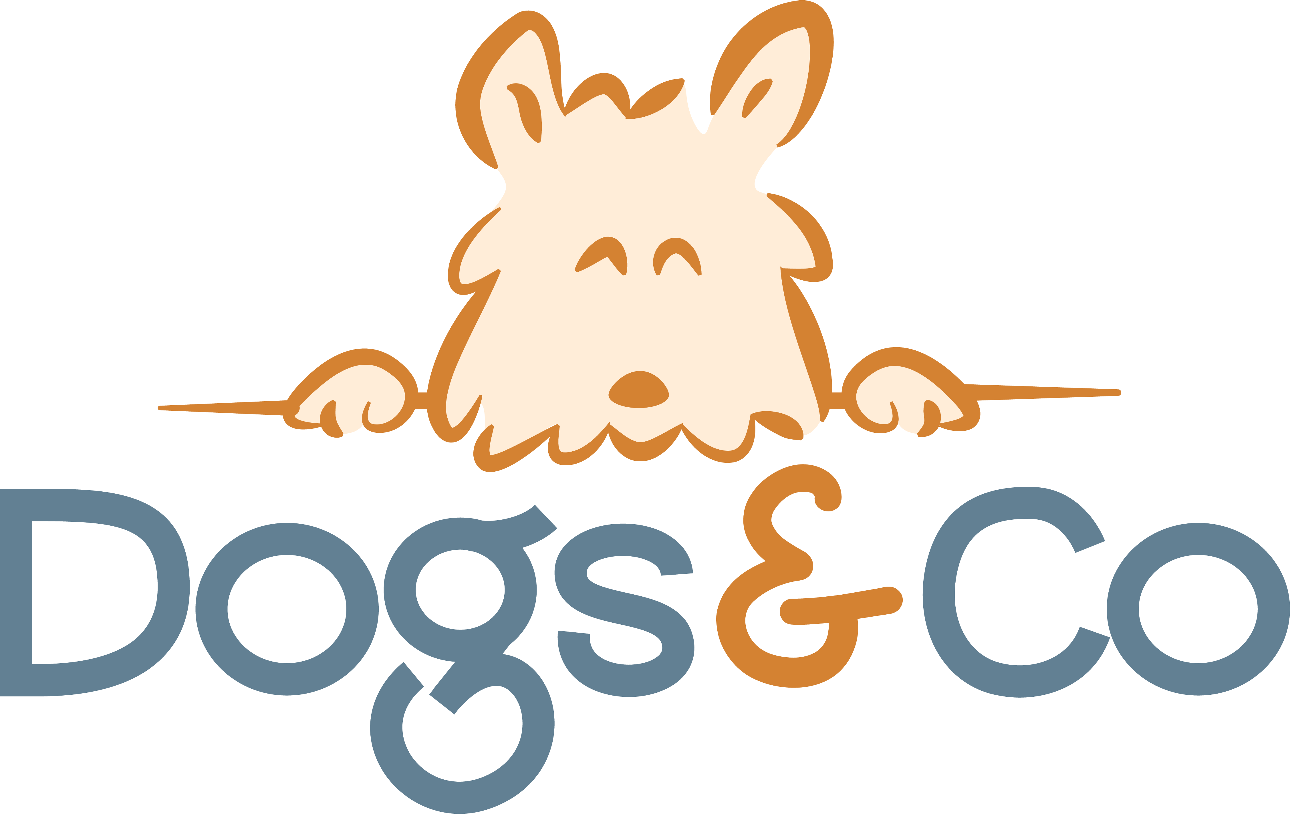Dogs&Co Logo